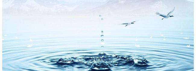 水是生命之源 生命之源－水