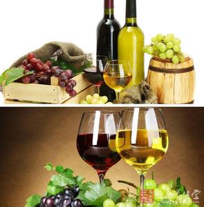 四种血型四种饮食 红酒怎么喝 红酒的四种错误饮法