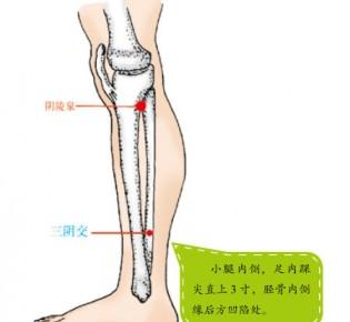 补肾去湿健脾汤 按这个穴位补肾又健脾