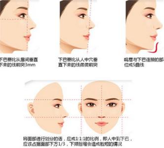 基本建设财务规则释义 下巴 下巴-释义，下巴-基本介绍