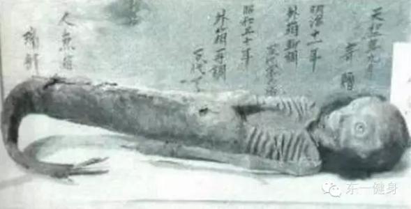 中国发现65米巨人骸骨 发现美人鱼骸骨(图)