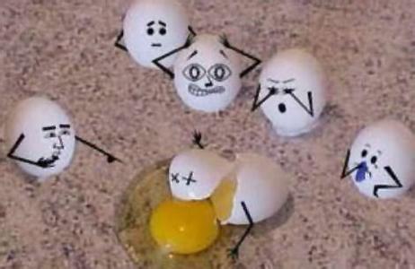 橡皮鸡蛋 橡皮鸡蛋真相 橡皮鸡蛋仅是一个技术培训骗局？