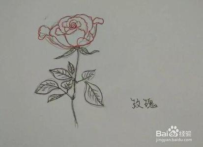 简笔画玫瑰花的画法 简笔画报花名 [7]玫瑰花画法