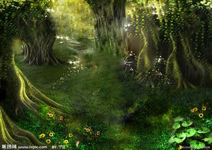 童话森林游戏 童话森林