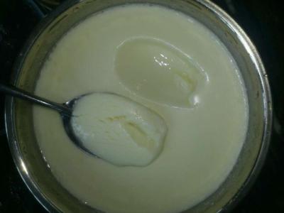 自制酸奶用什么菌种好 用奶粉做的自制酸奶