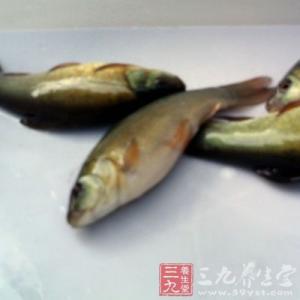 丁桂鱼的营养价值 丁桂鱼的营养价值 经常吃丁桂鱼有啥好处