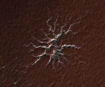 南极现巨型蜘蛛 [图文]火星南极出现奇物的类似蜘蛛结构