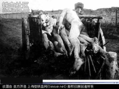前苏联恐怖实验 [图片]前苏联大饥荒 恐怖人吃人 慎入