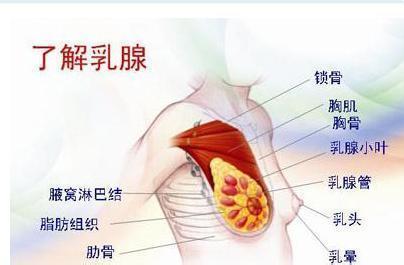 乳腺炎疼痛的症状表现 乳腺炎有哪些症状