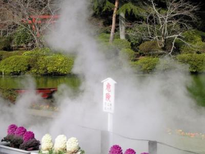 豆奶温泉 [图文]日本温泉之乡推出“豆奶温泉”
