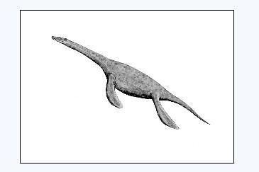 蛇颈龙 [多图]蛇颈龙亿万年前曾称霸海底