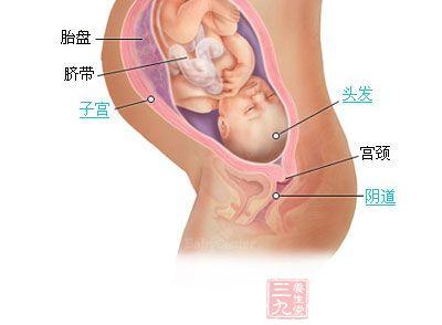怀孕37周产检项目 怀孕37周 准妈妈产检项目有哪些