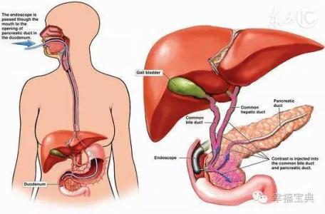 肝脏不好的症状 最伤害肝脏健康的9个习惯