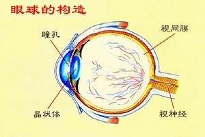 视网膜脱落的先期症状 视网膜脱落的原因 视网膜脱落的症状与治疗