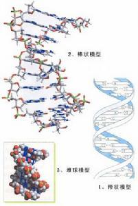 包涵体肌炎 包涵体肌炎 包涵体肌炎-症状体征，包涵体肌炎-疾病病因