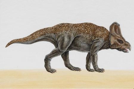 白垩纪时代有什么恐龙 白垩纪恐龙有哪些 白垩纪时代最强大的恐龙