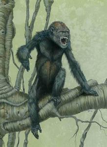 人类祖先的进化历程 各种动物的祖先意想不到的进化 人类祖先巨猿