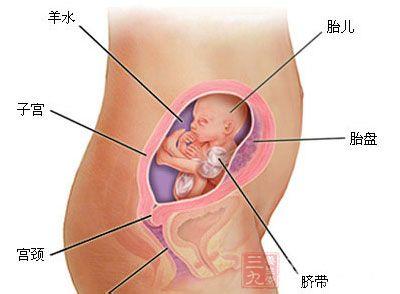 怀孕四个月胎儿彩超 怀孕四个月胎儿图 怀孕4个月妈妈的变化