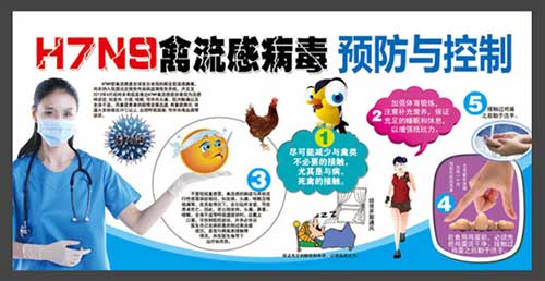 如何预防h7n9禽流感 怎样如何预防h7n9禽流感