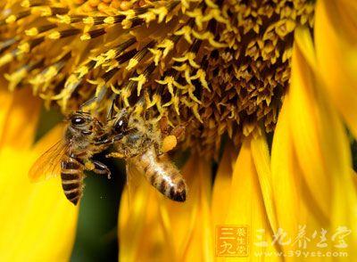 royal蜂毒面膜 副作用 蜂毒的作用 用对方法毒药变良药