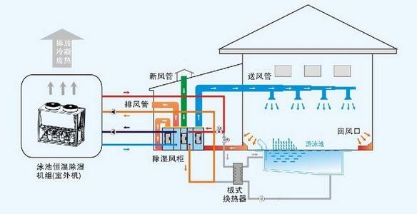 泳池除湿热泵 泳池热泵恒温除湿