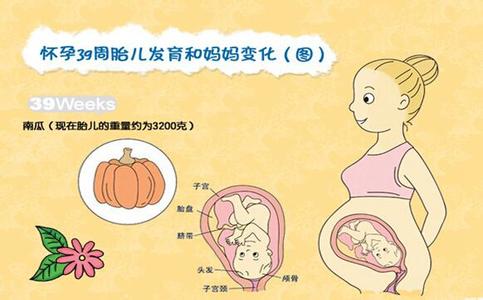 怀孕一个月的反应 怀孕反应 怀孕的各种反应