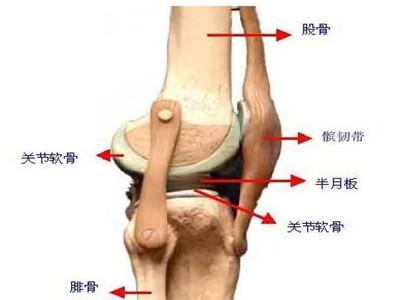 膝关节骨刺怎么治偏方 膝关节骨刺怎么治