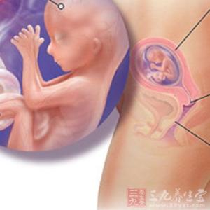 怀孕妈妈肚子变化过程 怀孕15周 宝妈怀孕15周的变化