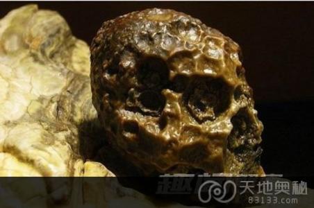 玛雅人水晶头骨之谜 玛雅文明之谜 魔幻般的水晶头骨