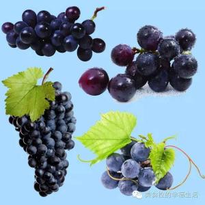 葡萄的作用是什么 葡萄的作用功效营养价值