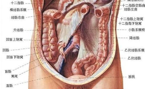 女性右下腹偶尔隐痛 女性右下腹疼痛是怎么回事