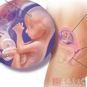 怀孕26周胎儿发育指标 怀孕2个月胎儿图 2个月胎儿能力指标