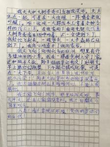 保护环境作文大全600字 保护环境的作文600字