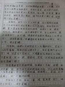 关于挨打的作文1000 关于挨打的作文