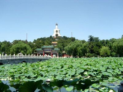 北京市公园管理中心 北京市公园管理中心 北京市公园管理中心-概况，北京市公园管理中