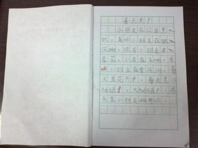 描写手法的日记100字 描写春天的日记100字