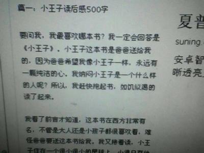 小王子读后感600字初中 小王子读后感1000字