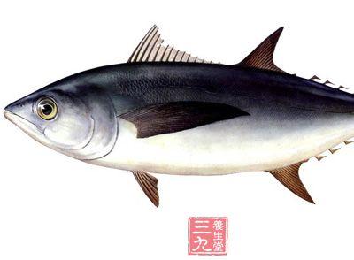 金枪鱼的营养价值 金枪鱼的营养价值 金枪鱼的吃法和功效