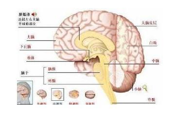 慢性酒精中毒症状 慢性酒精中毒 慢性酒精中毒-疾病概述，慢性酒精中毒-临床症状