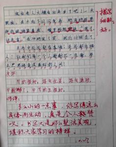 爱在身边作文200字 爱在身边作文300字