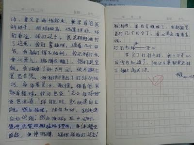 打羽毛球作文500字 打羽毛球作文600字