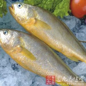 黄花鱼的营养价值 黄花鱼的营养价值 黄花鱼怎么做才有营养