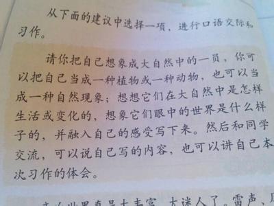 我与网络为话题600字 我与网络作文500字