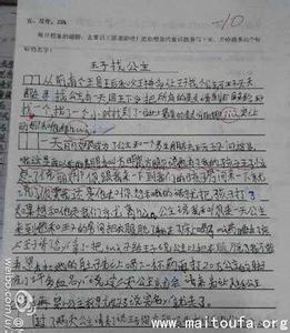 动物的故事作文450字 我与动物的故事作文300字