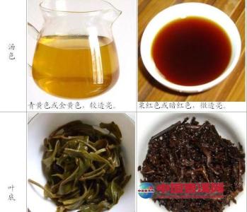 熟普洱茶的功效与作用 普洱茶生茶和熟茶都有什么好功效