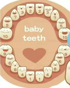 宝宝长牙顺序不对原因 宝宝长牙的顺序