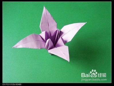 百合花折纸 【折纸系类】百合花的折法 精