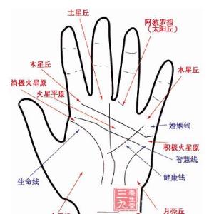 掌纹起了变化预示什么 14条掌纹线预示的疾病信号