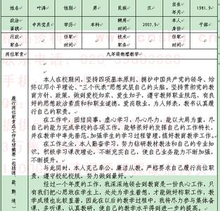 特岗教师考核登记表 特岗教师考核工作总结