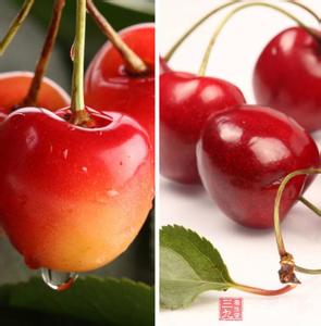 樱桃的功效与作用 樱桃的功效与作用 夏季吃樱桃的5大好处
